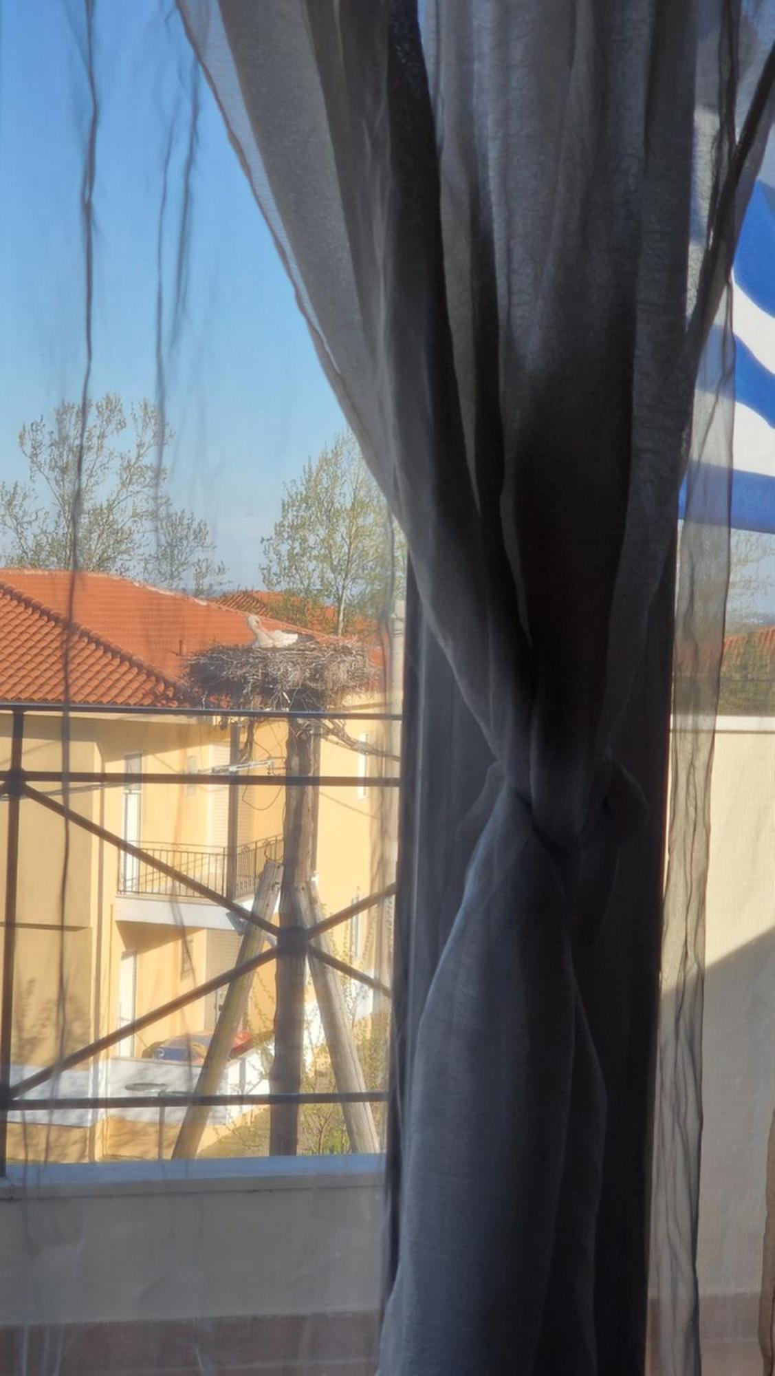 Kofinaki Apartment 1 Τυχερό Εξωτερικό φωτογραφία