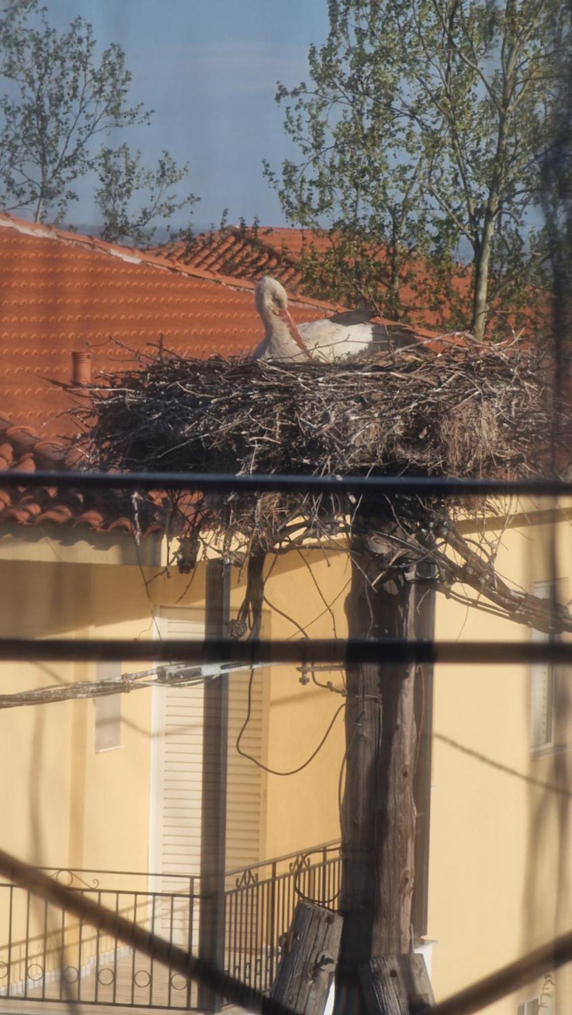 Kofinaki Apartment 1 Τυχερό Εξωτερικό φωτογραφία