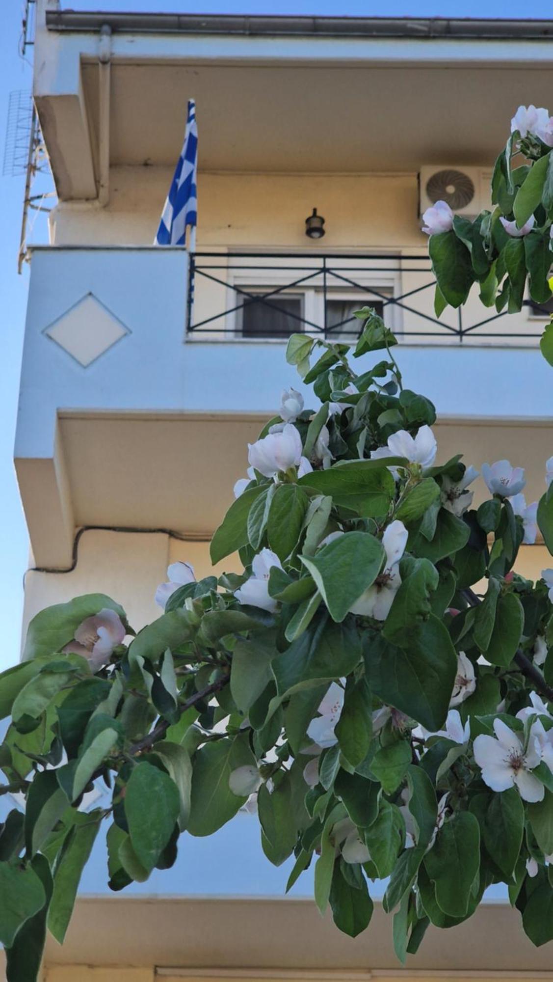 Kofinaki Apartment 1 Τυχερό Εξωτερικό φωτογραφία